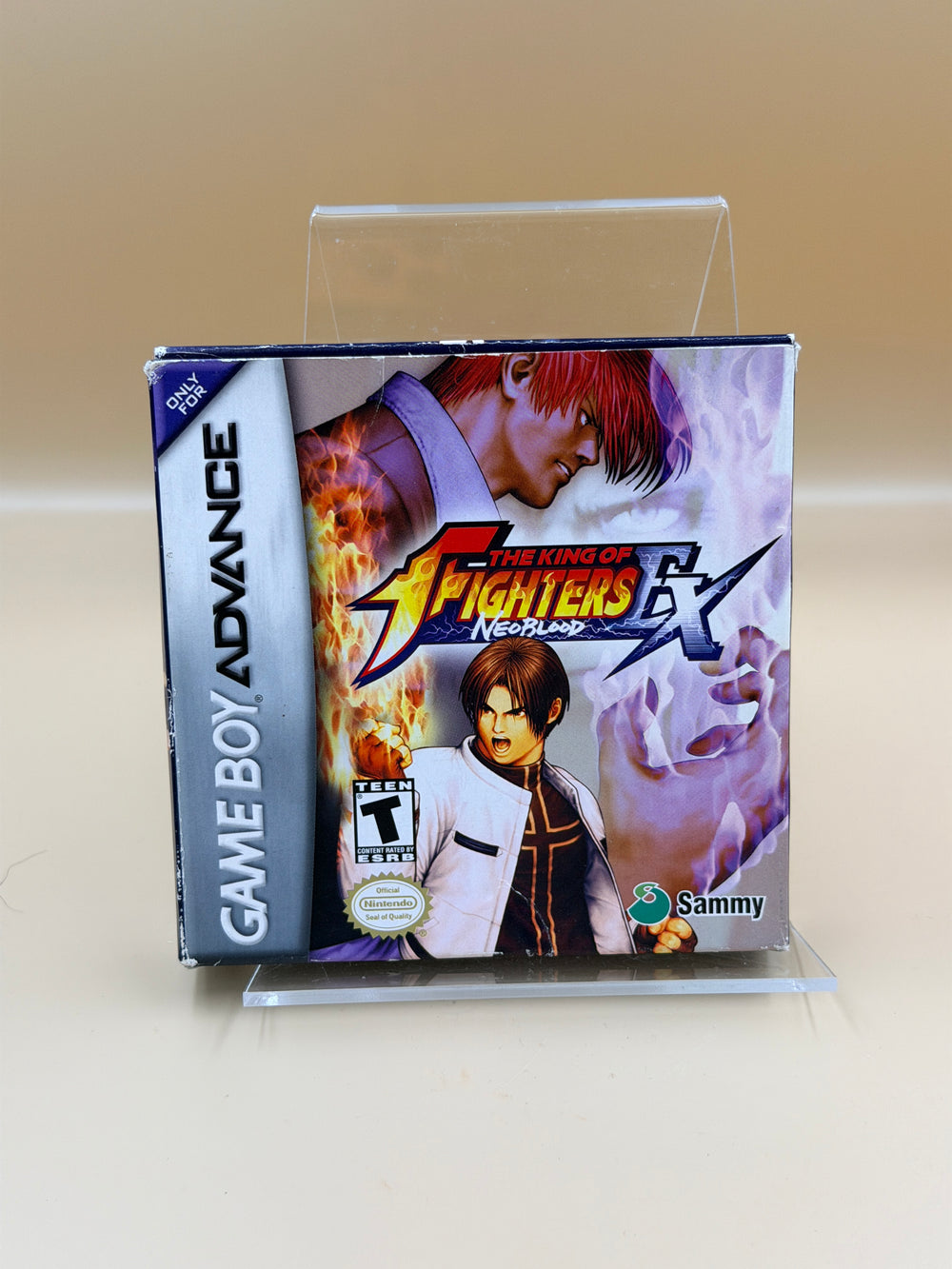 The King of Fighters EX: Neo Blood