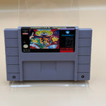 Battletoads in Battlemaniacs