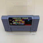 Battletoads in Battlemaniacs