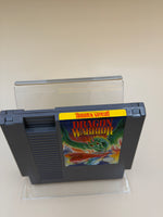 Dragon Warrior