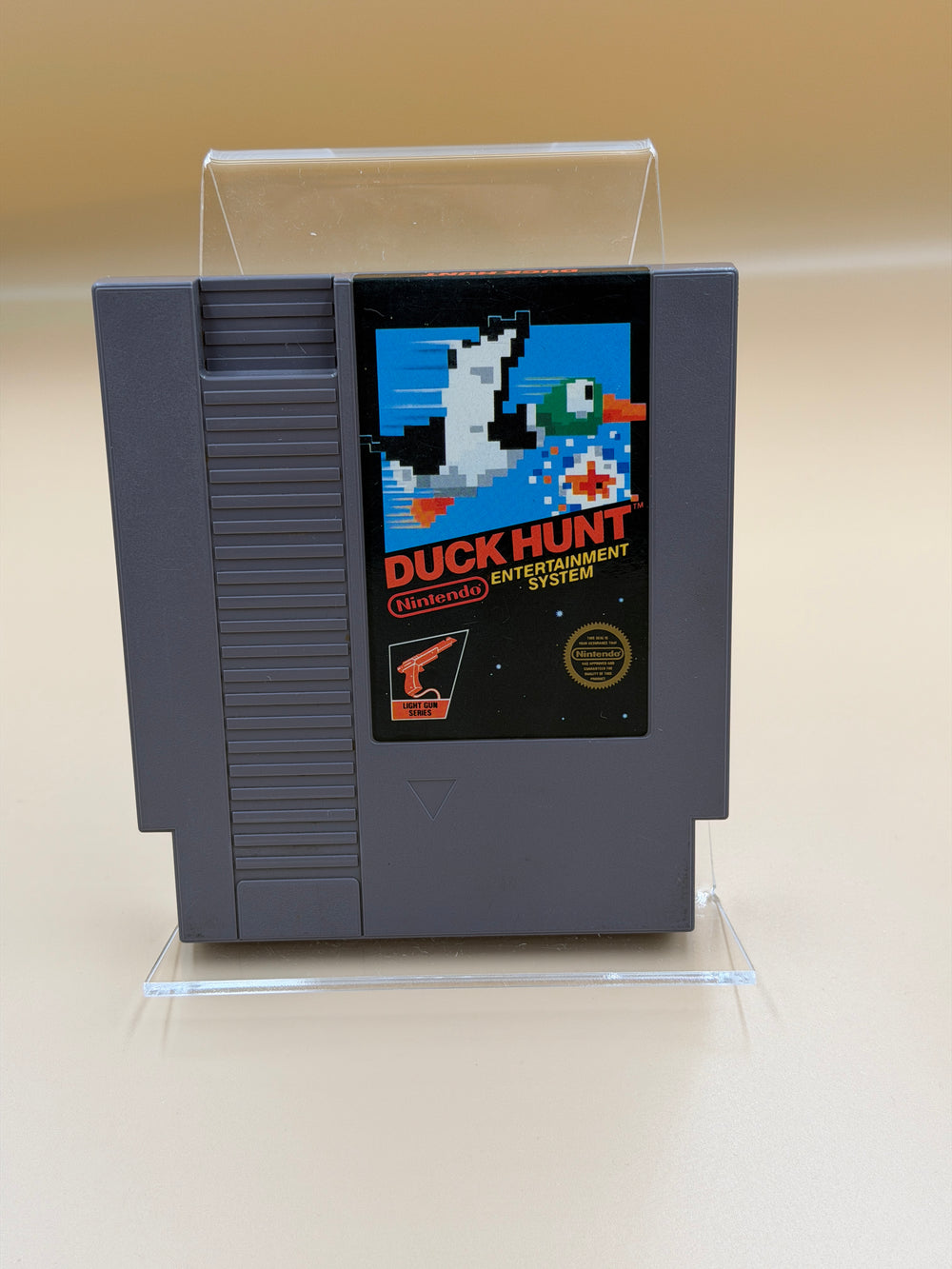 Duck Hunt